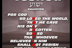 His-Name-Is-Yeshua-John-3-16-403x403
