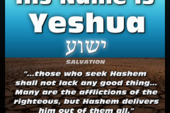 Meaning-Yeshua-HaShem-v2-403x403