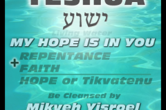 Meaning-Yeshua-Hope-403x403