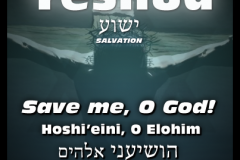 Meaning-Yeshua-Hoshi-eini-403x403