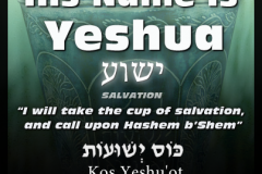 Meaning-Yeshua-is-His-Name-403x403