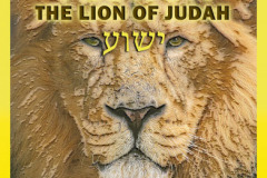 Yeshua-Is-the-Lion-of-Judah-403x403-d