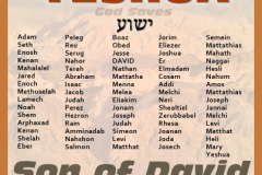 Yeshua-Meaning-Ben-David-403x403