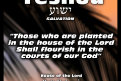 Yeshua-Meaning-Courts-of-God-403x403