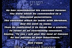 Yeshua-Meaning-Covenant-403x403