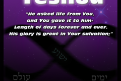 Yeshua-Meaning-Forever-403x403