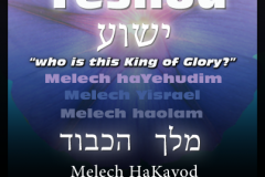 Yeshua-is-King-of-Glory-403x403